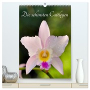 Cover-Bild zum Titel 'Die schönsten Cattleyen (hochwertiger Premium Wandkalender 2026 DIN A2 hoch), Kunstdruck in Hochglanz' von 'Clemens Stenner'