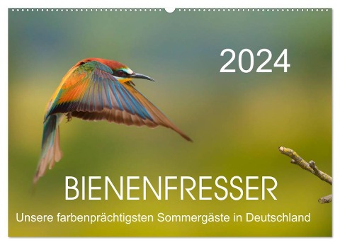 Bienenfresser, unsere farbenprächtigsten Sommergäste in Deutschland (Wandkalender 2024 DIN A2 quer), CALVENDO Monatskalender - Thomas Will