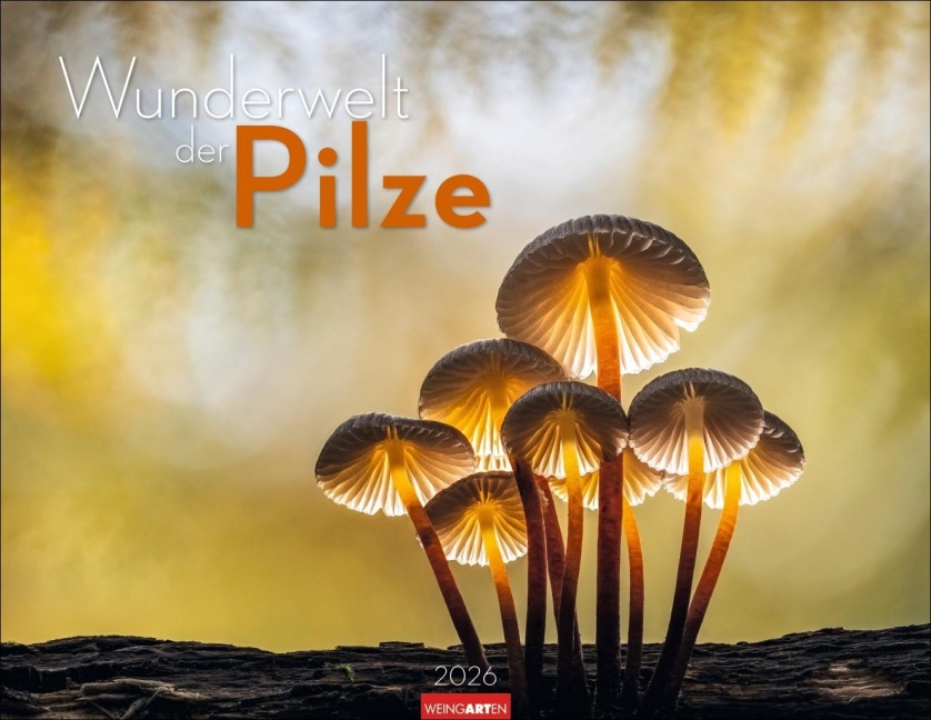 Wunderwelt der Pilze Kalender 2026 - 