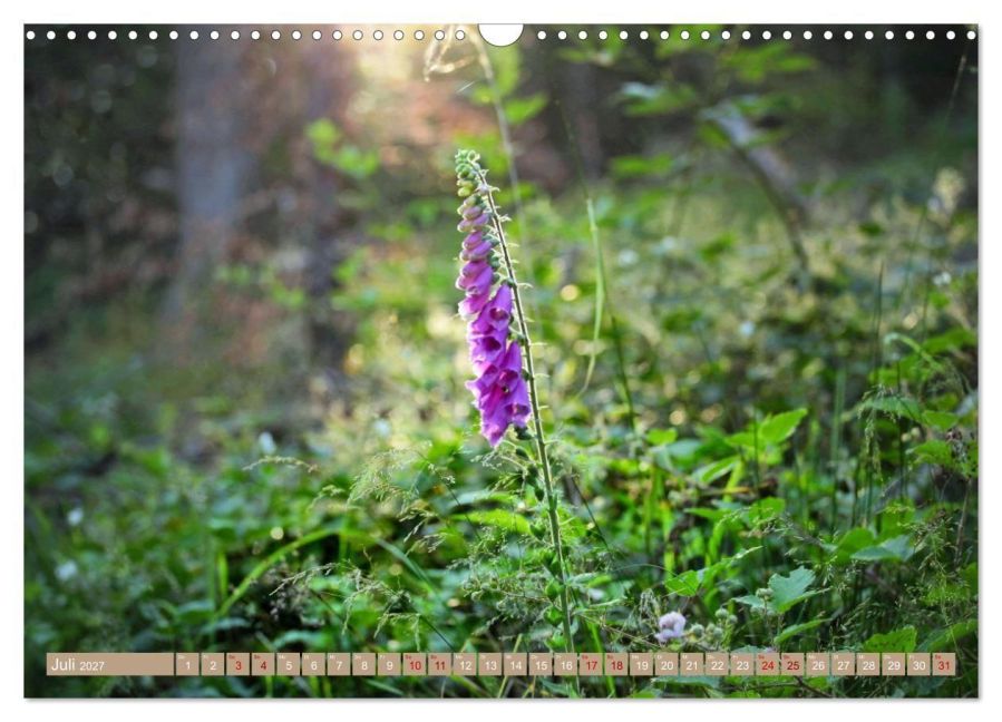InsideView 12