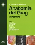 Cover-Bild zum Titel 'Anatomia del Gray. I fondamenti' von 'Richard L. Drake, A. Wayne Vogl, Adam W. Mitchell'