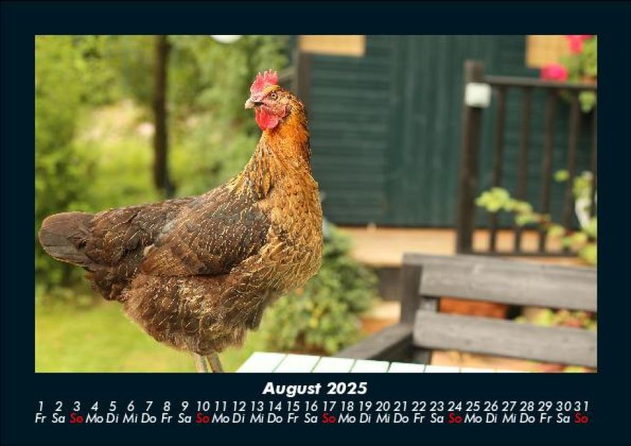InsideView 12