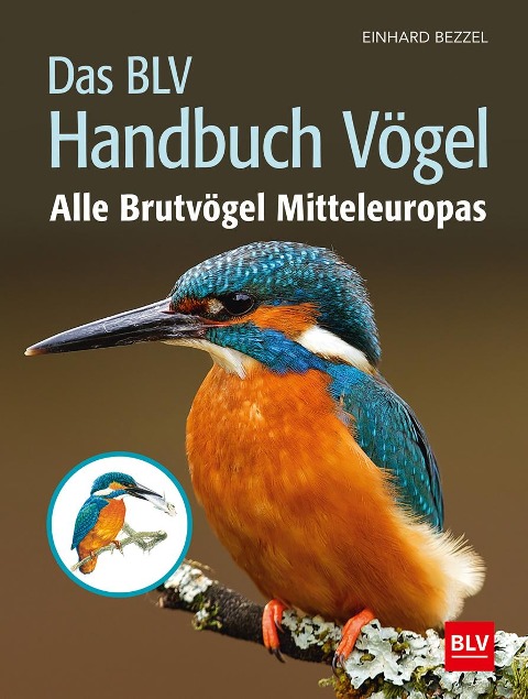 Das BLV Handbuch Vögel - Einhard Bezzel