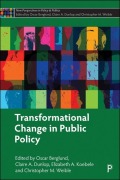 Cover-Bild zum Titel 'Transformational Change in Public Policy' von ''