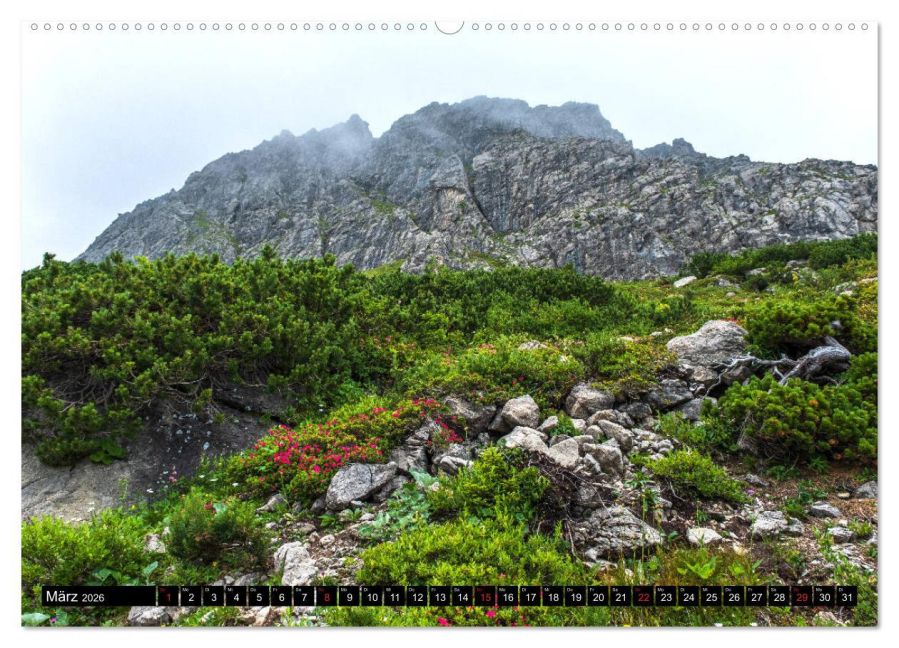 InsideView 7