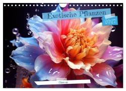 Cover-Bild zum Titel 'Exotische Pflanzen Close-up (Wandkalender 2027 DIN A4 quer), CALVENDO Monatskalender' von 'Natalia O. Schwermer'