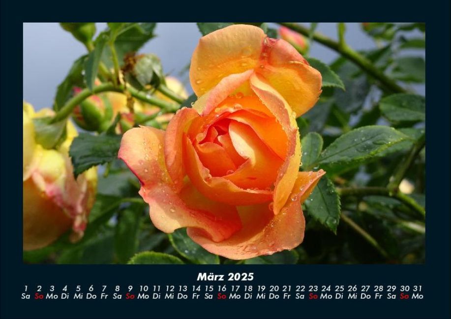 InsideView 7