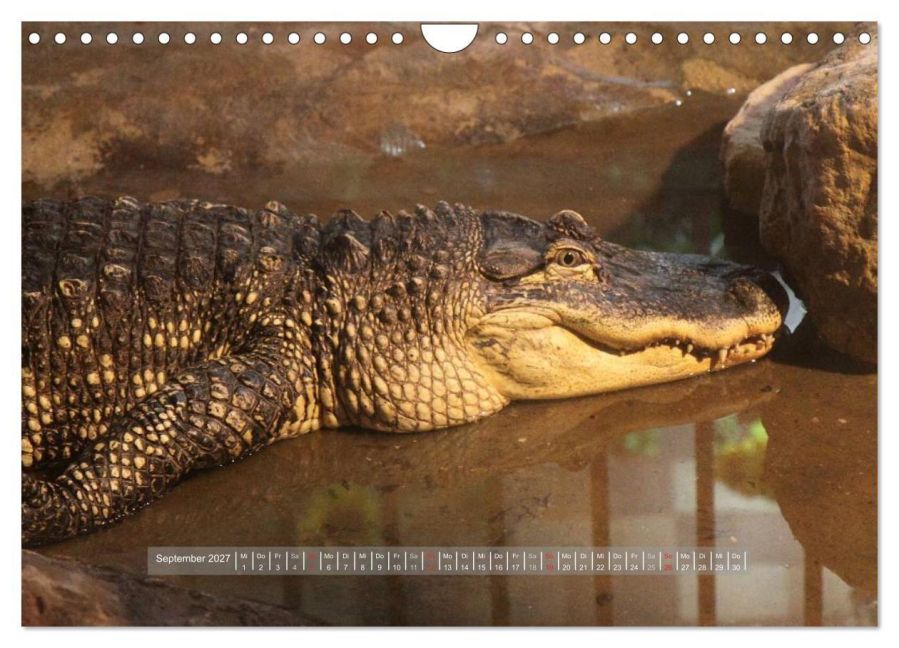 InsideView 14