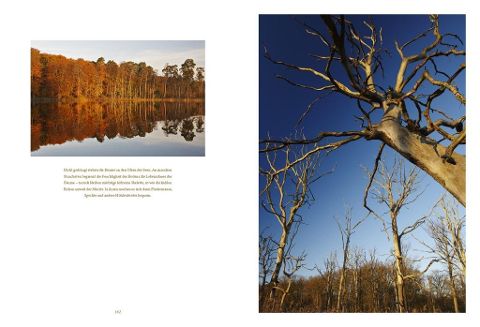 InsideView 13