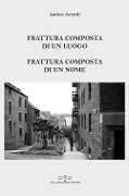 Cover-Bild zum Titel 'Frattura composta di un luogo. Frattura composta di un nome' von 'Andrea Accardi'