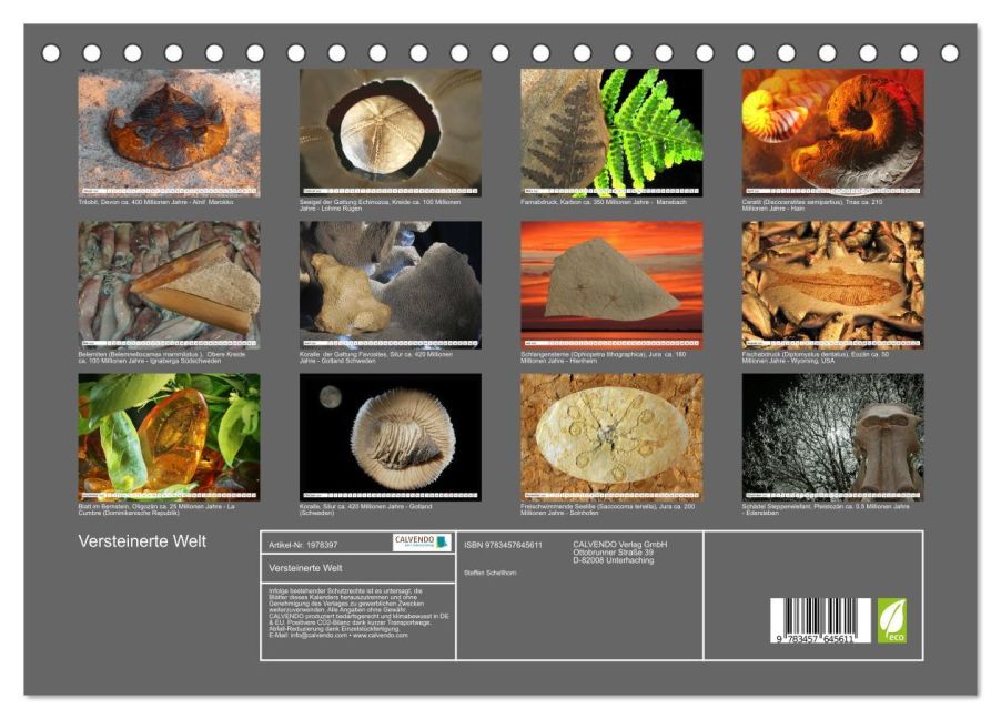 InsideView 5