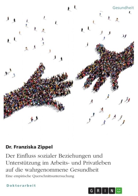Der Einfluss sozialer Beziehungen und Unterstützung im Arbeits- und Privatleben auf die wahrgenommene Gesundheit. Eine empirische Querschnittsuntersuchung - Franziska Zippel