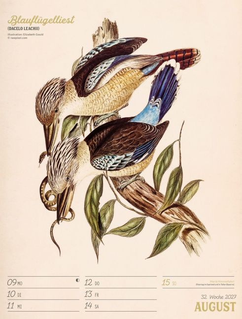 InsideView 36