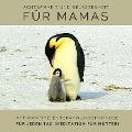 Cover-Bild zum Titel 'Achtsamkeit und Gelassenheit für Mamas: Affirmative Entspannungshypnose für jeden Tag (Meditation für Mütter)' von 'Tanja Kohl'