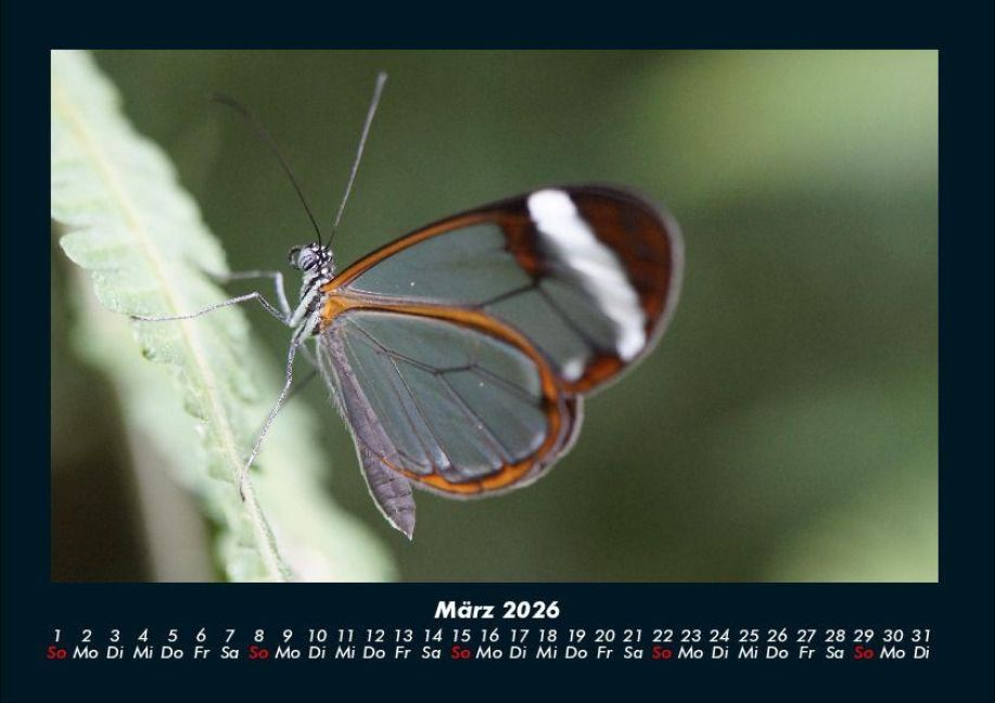 InsideView 7