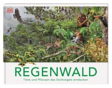 Cover-Bild zum Titel 'Regenwald' von 'Michael Leach, Meriel Lland'