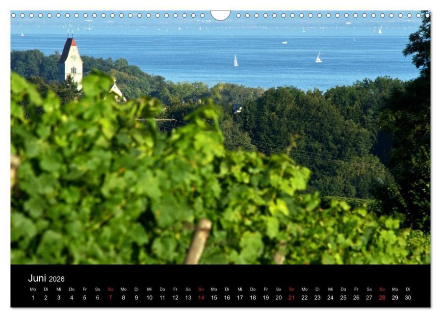 InsideView 11