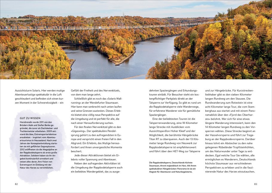 InsideView 9