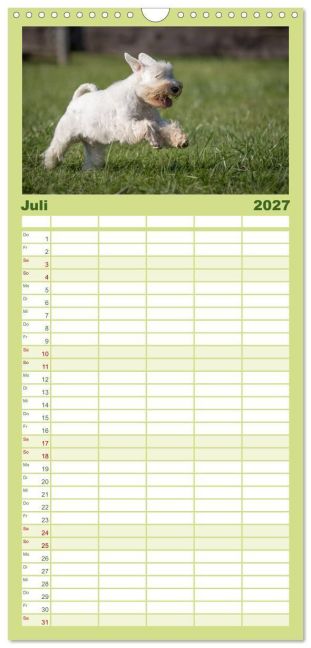 InsideView 12