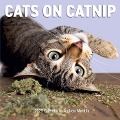 Cats on Catnip Wall Calendar 2025 - Andrew Marttila, Workman Calendars