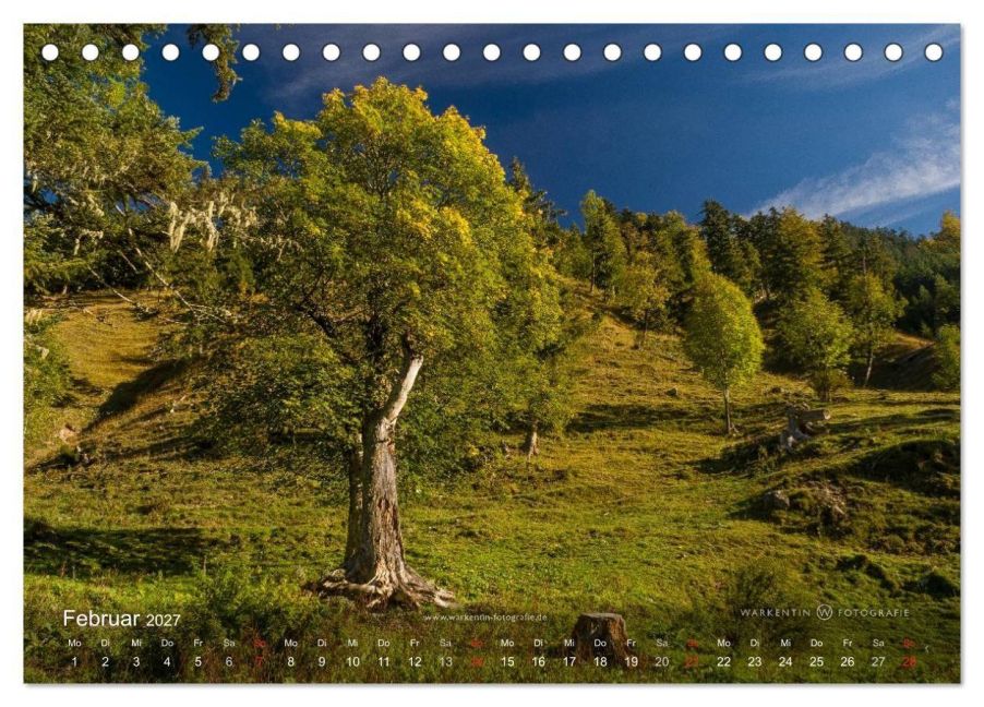 InsideView 7