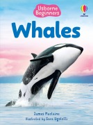 Cover-Bild zum Titel 'Beginners Whales' von 'James Maclaine'