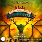 Cover-Bild zum Titel 'Die geheime Drachenschule - Die Reise geht weiter' von 'Emily Skye'