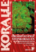 Cover-Bild zum Titel 'Großpolypige Steinkorallen' von 'Dieter Brockmann'