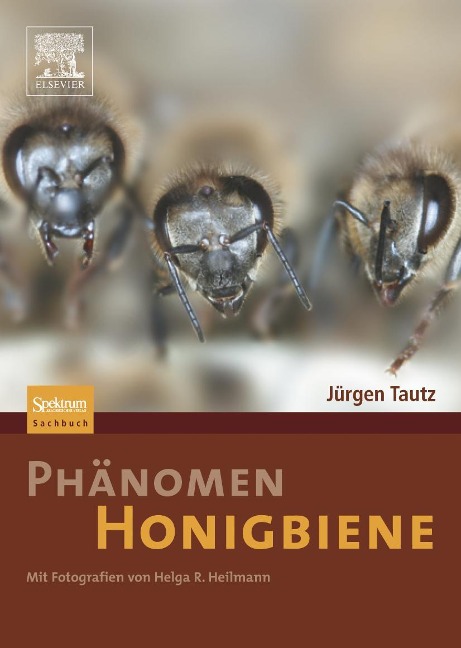 Phänomen Honigbiene - Jürgen Tautz
