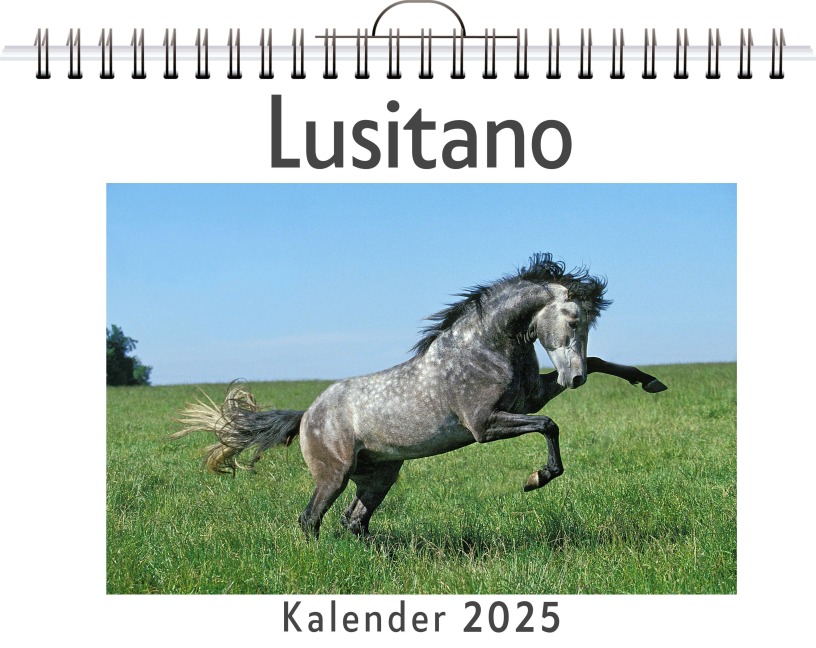 Lusitano - Paul Richter