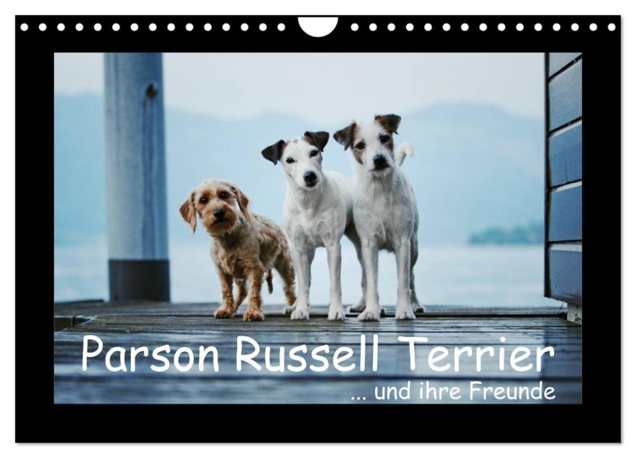 Parson Russell Terrier (Wandkalender 2026 DIN A4 quer), CALVENDO Monatskalender - Kathrin Köntopp