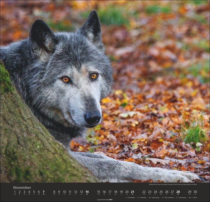 InsideView 11