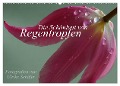 Die Schönheit von Regentropfen (Wandkalender 2024 DIN A2 quer), CALVENDO Monatskalender - Ulrike Schäfer