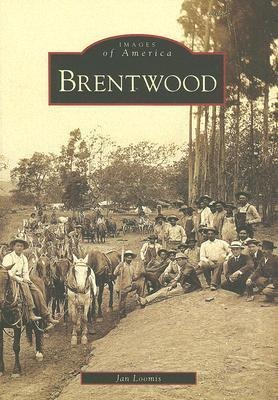 Brentwood - Jan Loomis