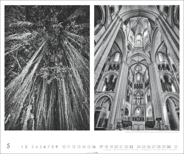 InsideView 5