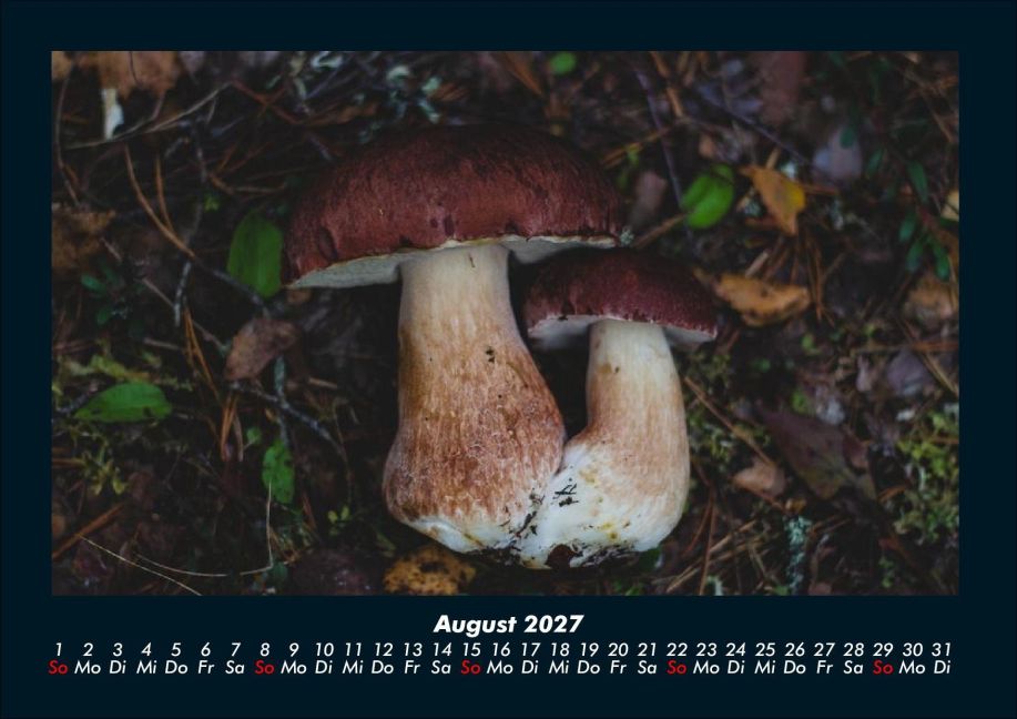 InsideView 12