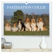 Cover-Bild zum Titel 'Faszination Collie 2026 (hochwertiger Premium Wandkalender 2026 DIN A2 quer), Kunstdruck in Hochglanz' von 'Sigrid Starick'