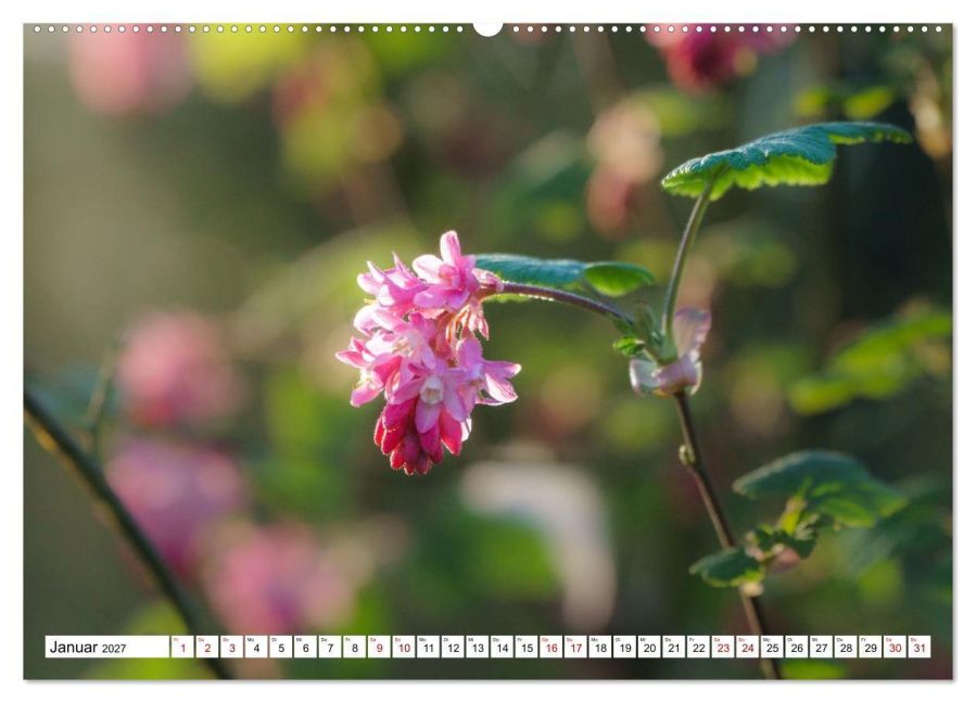 InsideView 6