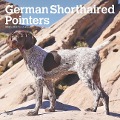 German Shorthaired Pointers 2025 12 X 24 Inch Monthly Square Wall Calendar Plastic-Free - Browntrout