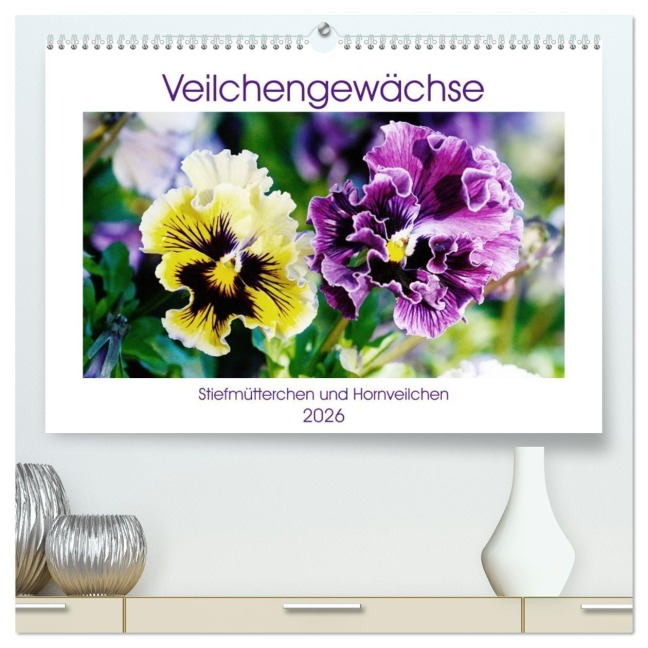 Veilchengewächse - Stiefmütterchen und Hornveilchen (hochwertiger Premium Wandkalender 2026 DIN A2 quer), Kunstdruck in Hochglanz - Gisela Kruse