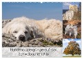 Hundespaziergänge auf der Schwäbischen Alb (Wandkalender 2025 DIN A2 quer), CALVENDO Monatskalender - Monika Scheurer