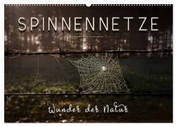 Cover-Bild zum Titel 'Spinnennetze - Wunder der Natur (Wandkalender 2026 DIN A2 quer), CALVENDO Monatskalender' von 'Peter Roder'