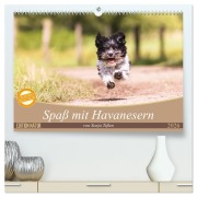 Spaß mit Havanesern (hochwertiger Premium Wandkalender 2026 DIN A2 quer), Kunstdruck in Hochglanz - Sonja Teßen