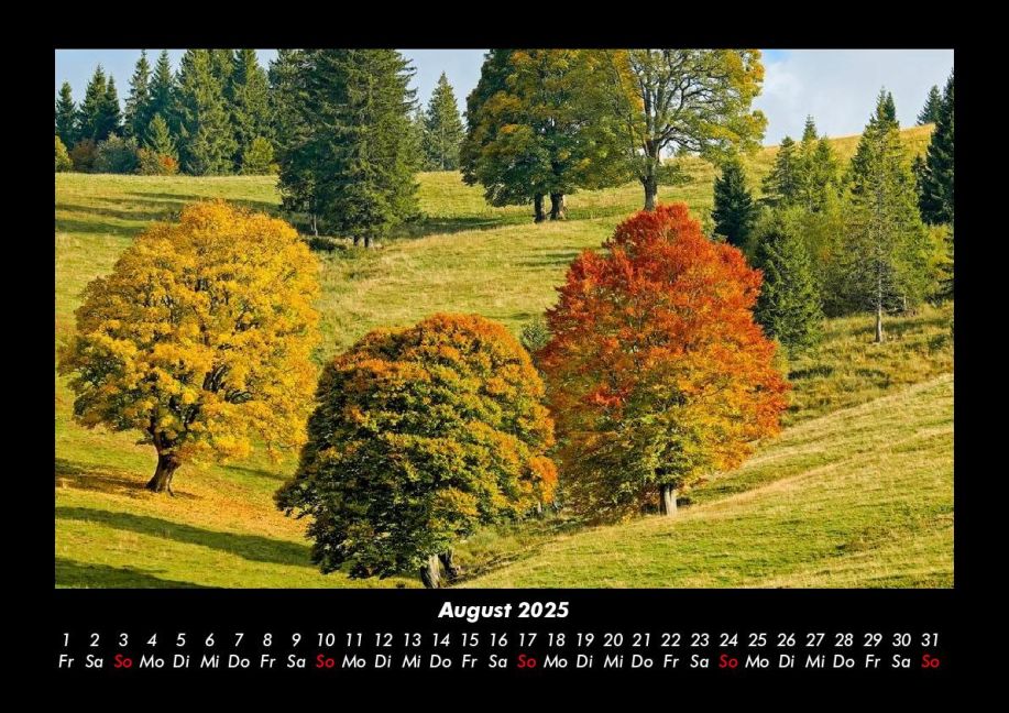 InsideView 12