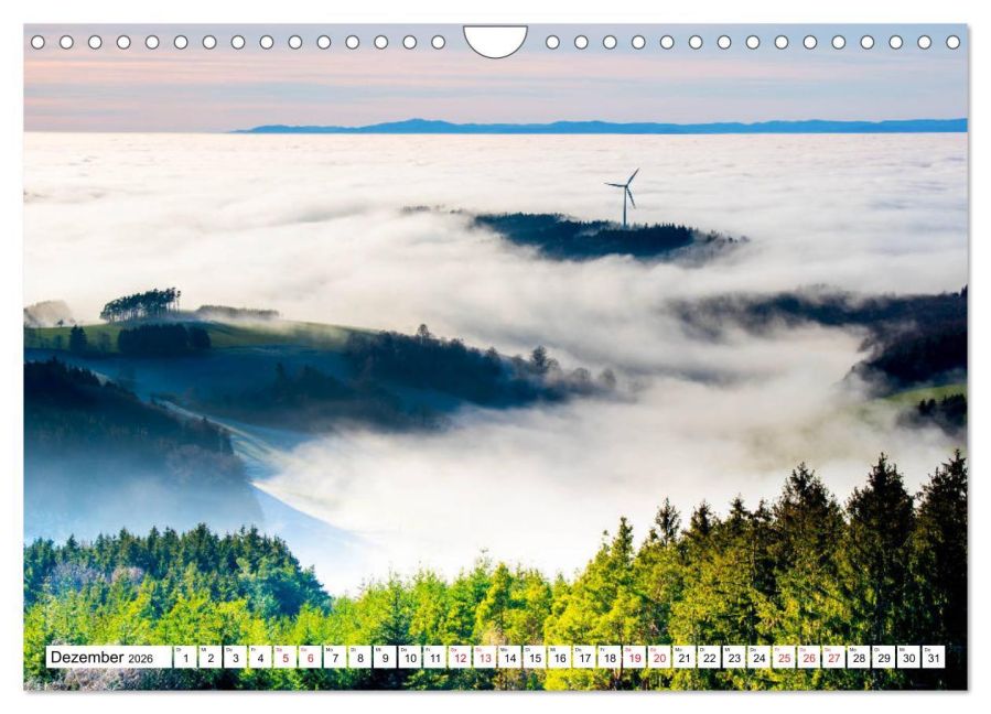 InsideView 4