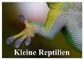 Kleine Reptilien (Wandkalender 2025 DIN A2 quer), CALVENDO Monatskalender - Elisabeth Stanzer