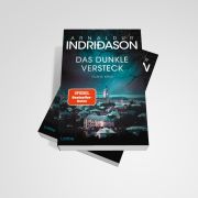 InsideView 4