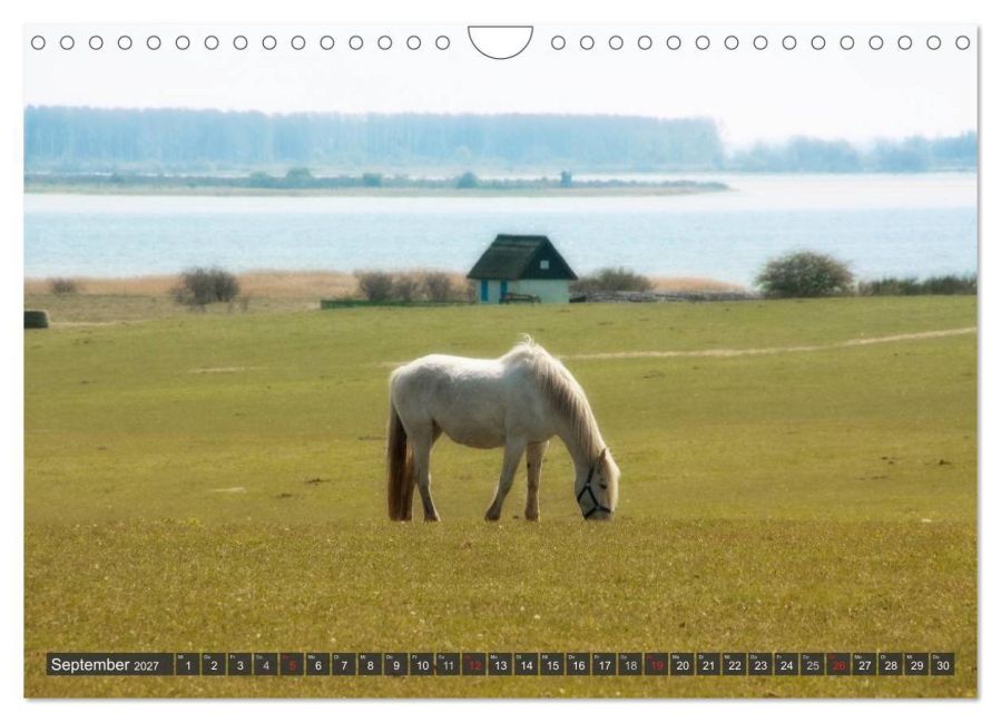 InsideView 14