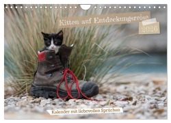 Cover-Bild zum Titel 'Kitten auf Entdeckungsreise (Wandkalender 2026 DIN A4 quer), CALVENDO Monatskalender' von 'Tanja Schultz Fotografie'