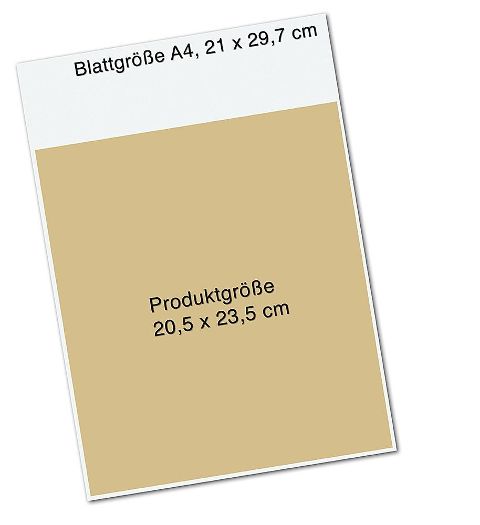 InsideView 6